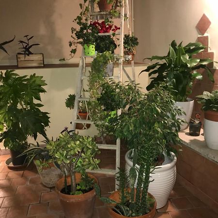 Ferienwohnung Ilbricco Neapel Exterior foto